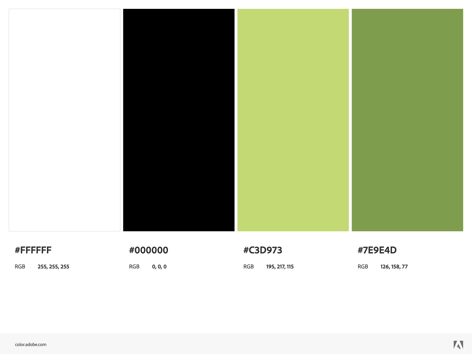 Willow & Sage brand color palette by Tragerbos featuring white, black, and natural green tones with hex codes and RGB values for brand consistency